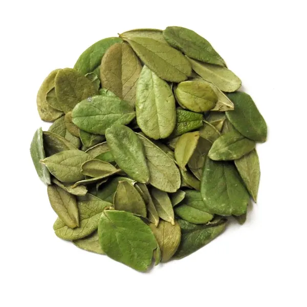 Брусниця листя-Vaccinium vitis-idaea