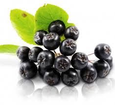 аронія чорна -(Aronia melanocarpa