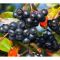аронія чорна -(Aronia melanocarpa