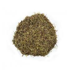 чебрець -Thymus serpyllum