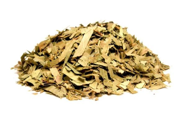 Осина кора-Fraxinus excelsior cortex