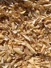 створки квасолі -Phaseolus vulgaris