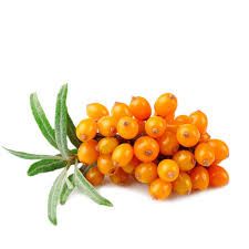 обліпиха плід -Hippophae rhamnoides