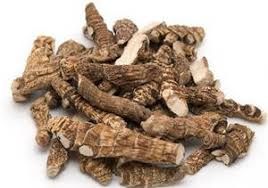 Аир корень-Аcorus calamus